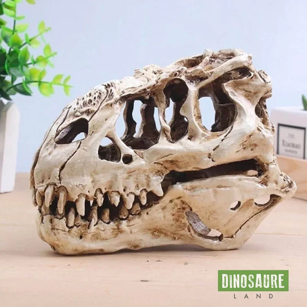 Modèle de Crâne de Dinosaure en Résine, Simulation de Squelette D'animal, Décoration de Maison et de Bureau, Accessoire D'enseignement Artisanal, Sculpture de Tête D'animal Modèle de Crâne de Dinosaure en Résine, Simulation de Squelette D'animal, Décoration de Maison et de Bureau, Accessoire D'enseignement Artisanal, Sculpture de Tête D'animal