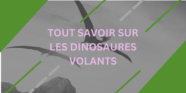 Tout savoir sur les dinosaures volants