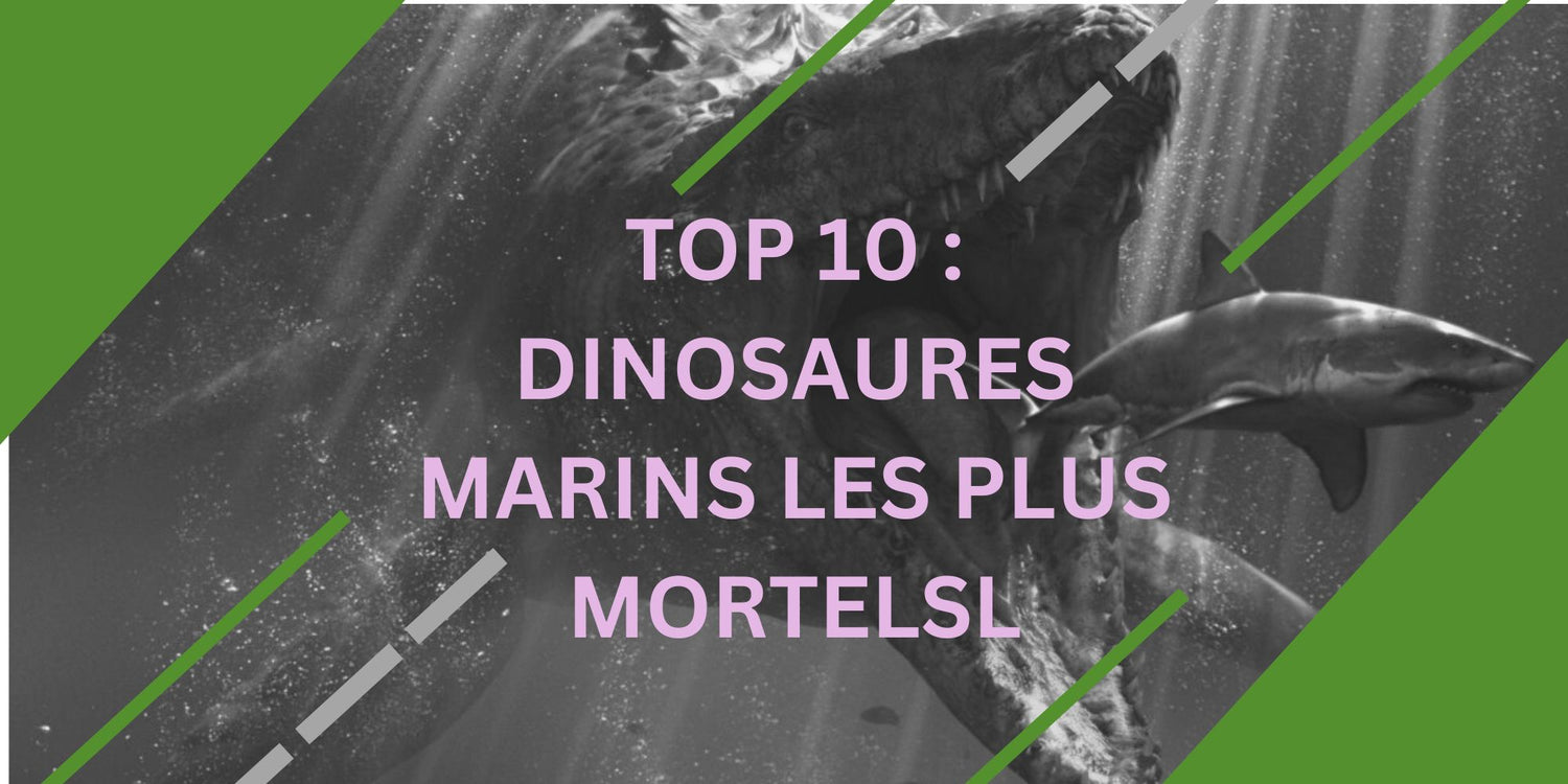 TOP 10 : Dinosaures Marins les plus mortels