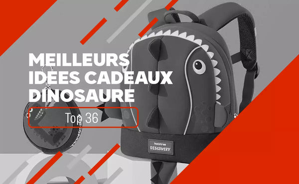 idée cadeau dinosaure enfant