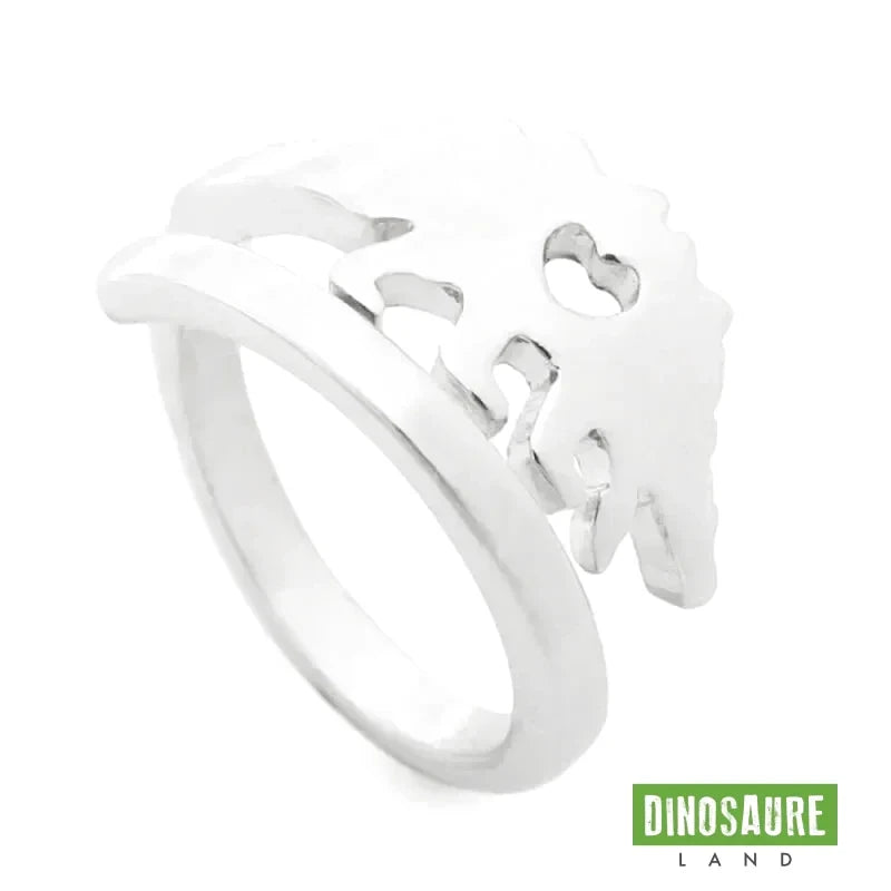 bague dinosaure stegosaure coeur