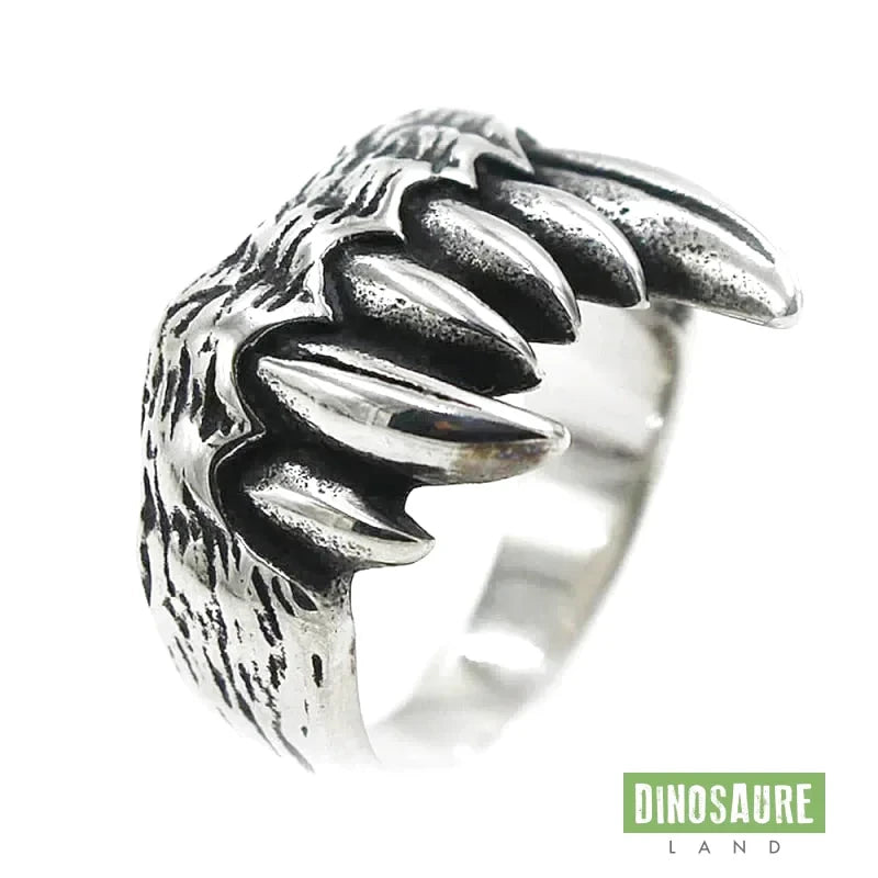 bague crocs dinosaure t rex