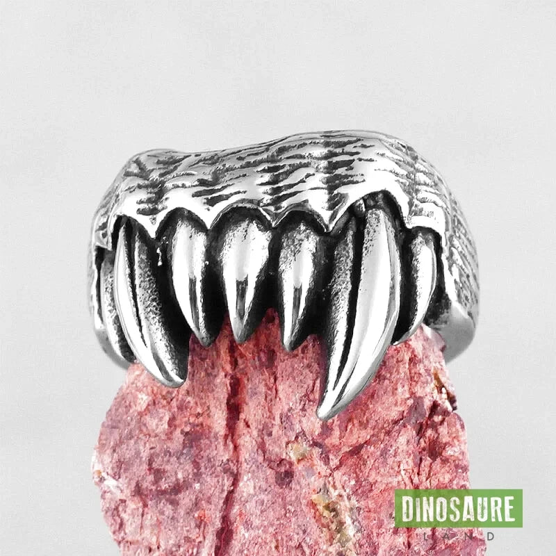 bague crocs dinosaure t rex