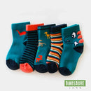 chaussettes dinosaure enfant
