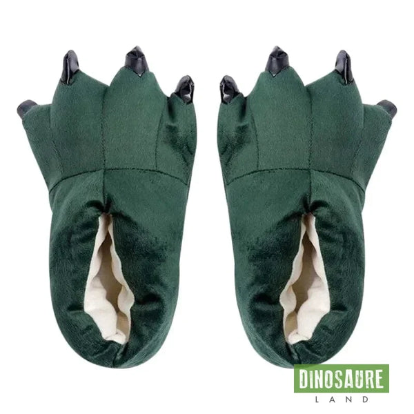 Chausson Patte de Dinosaure