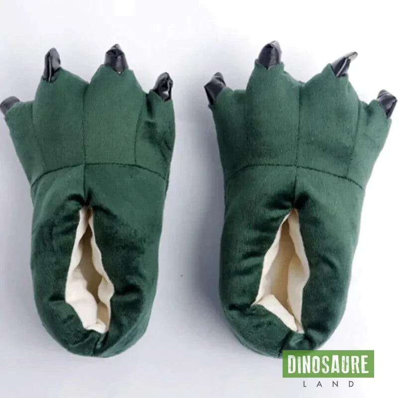 Chausson Patte de Dinosaure DinosaureLand