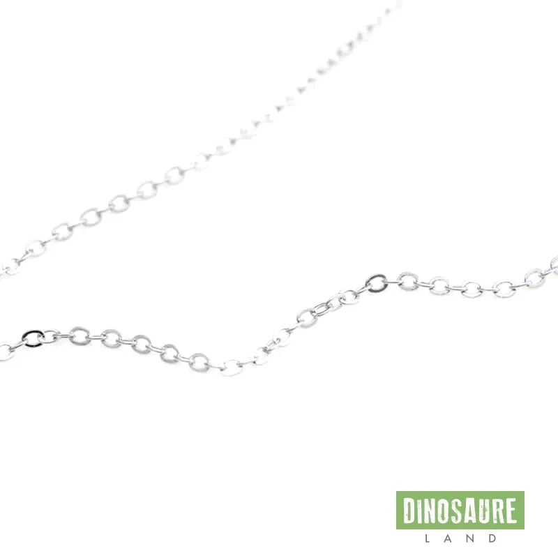 collier pendentif dinosaure coeur argent