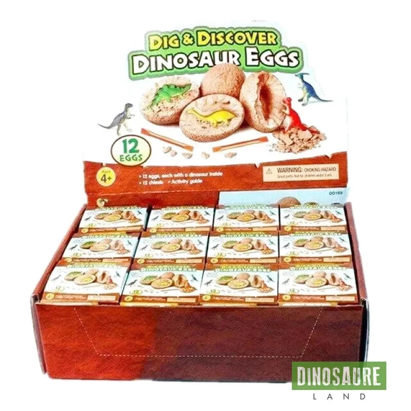 Dinosaures à Déterrer Jouets