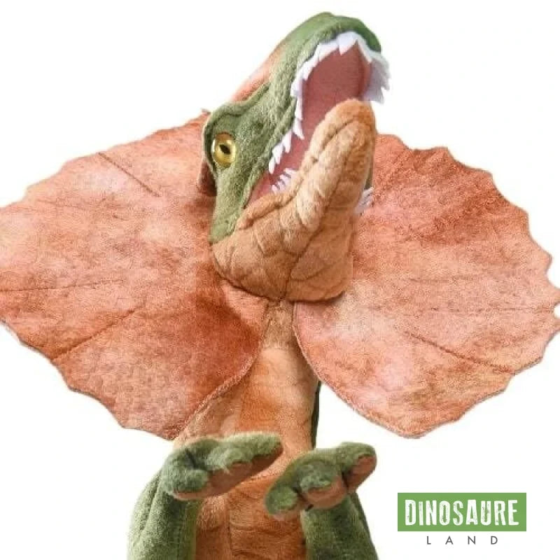 Doudou Dinosaure 50cm