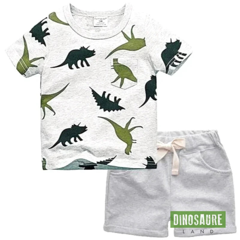 Ensemble Les Dinosaures Gris - Dino Jurassic