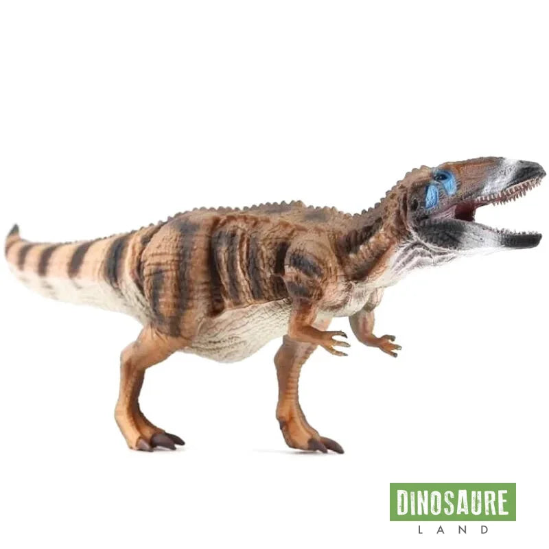 Figurine Carcharodontosaurus