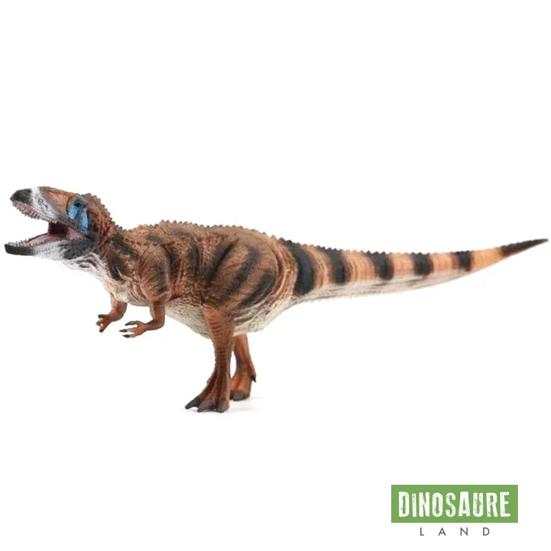 Figurine Carcharodontosaurus