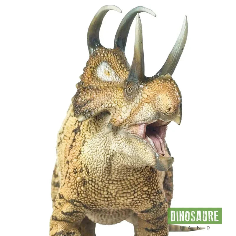 Figurine Dinosaure Diabloceratops
