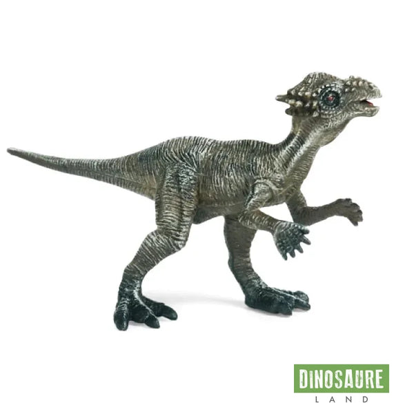 Figurine Dinosaure Dracorex