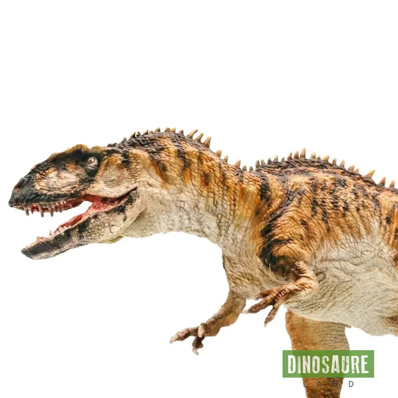 Figurine Dinosaure Haut De Gamme