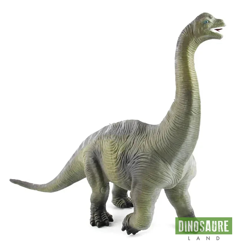 figurine dinosaure jouet diplodocus brachiosaure