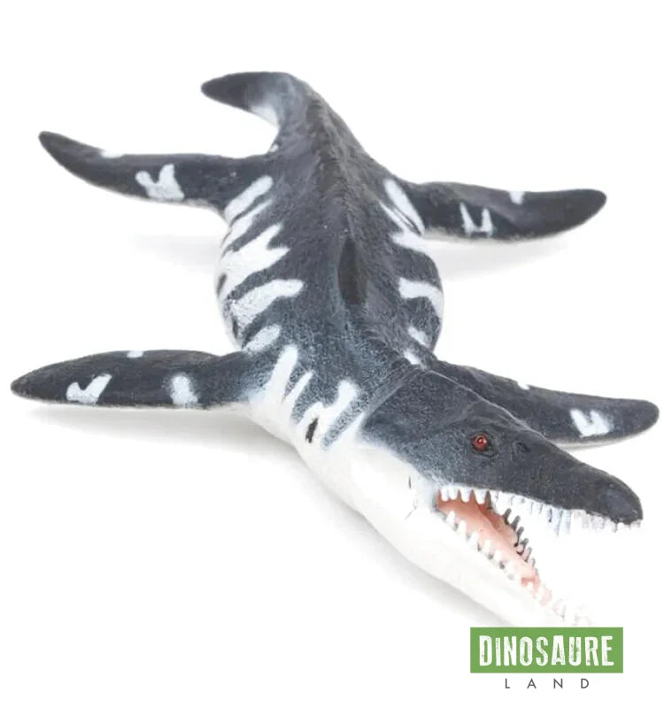 Figurine Dinosaure Liopleurodon Ferox