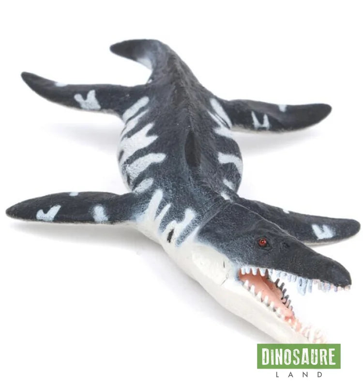 Figurine Dinosaure Liopleurodon Ferox