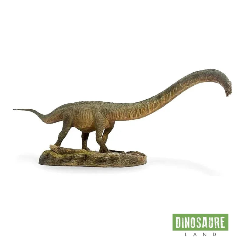 Figurine Dinosaure Mamenchisaurus