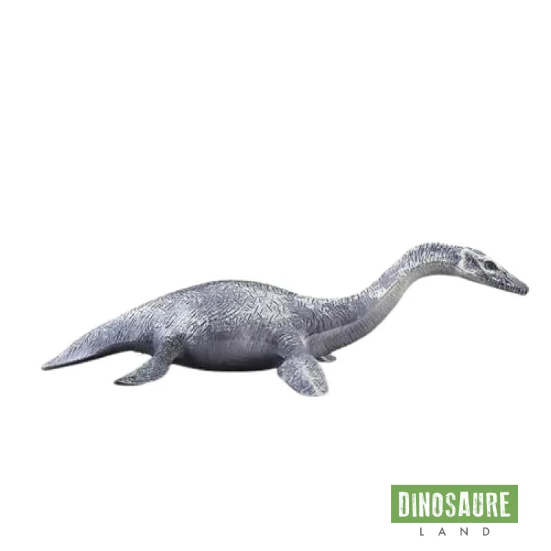 Figurine Dinosaure : Museum Line : Elasmosaurus - Jeux et jouets Bullyland - Avenue des Jeux Figurine Dinosaure : Museum Line : Elasmosaurus - Jeux et jouets Bullyland - Avenue des Jeux