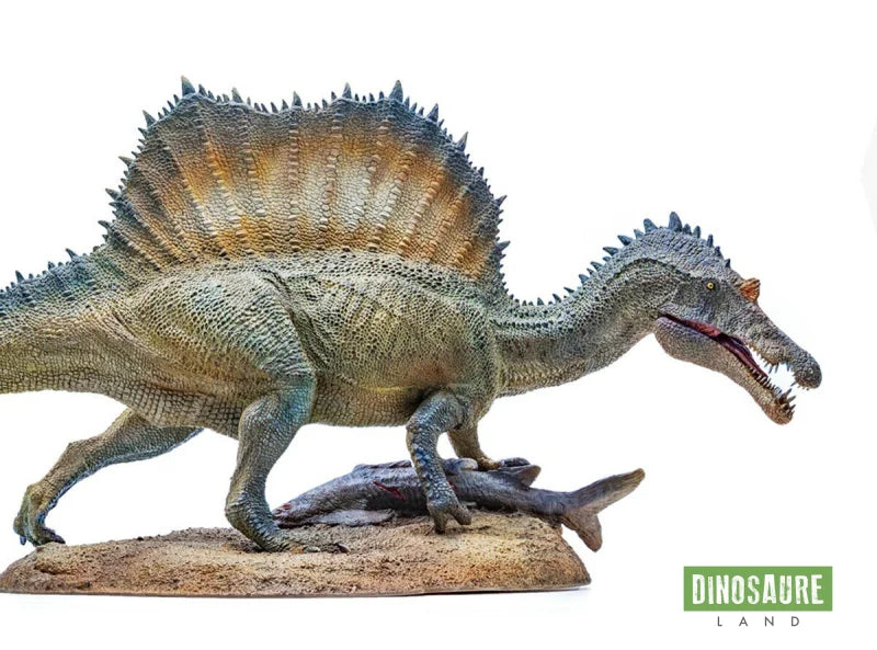 Figurine Dinosaure Spinosaurus Maroccanus