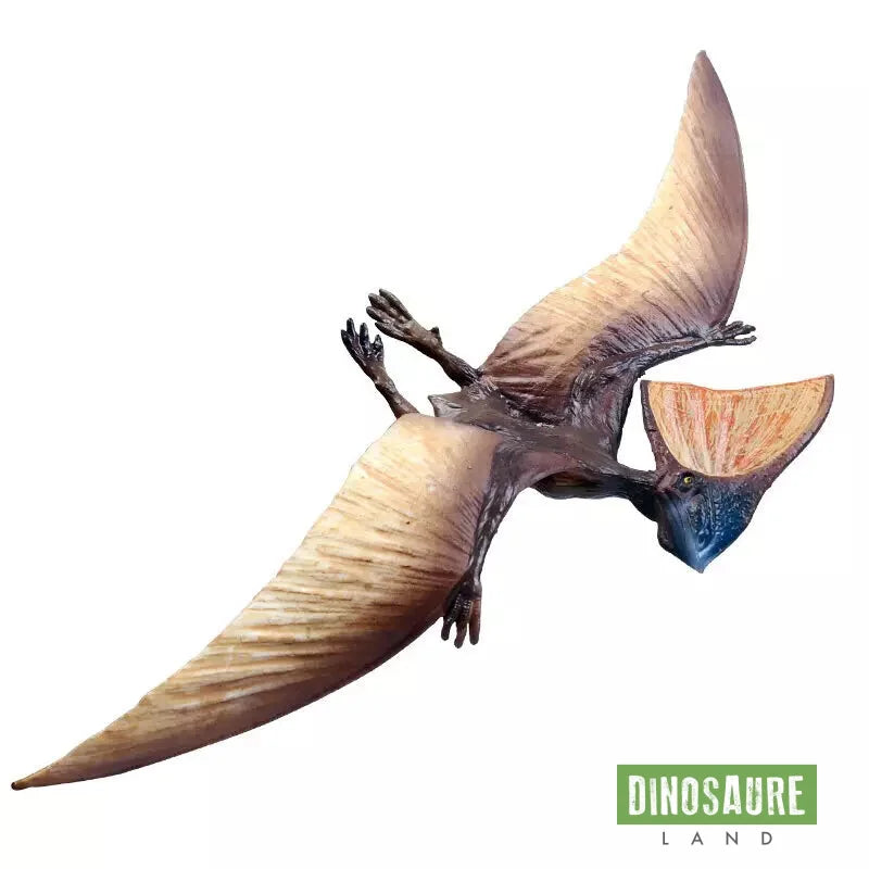 Figurine Dinosaure Tupandactylus