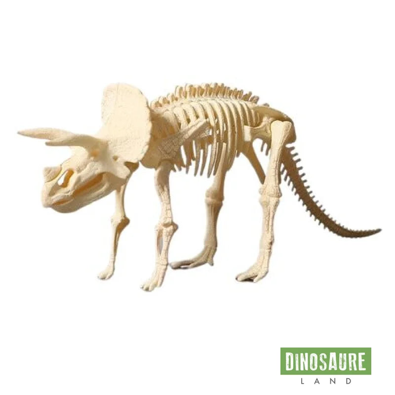 figurine dinosaure squelette triceratops