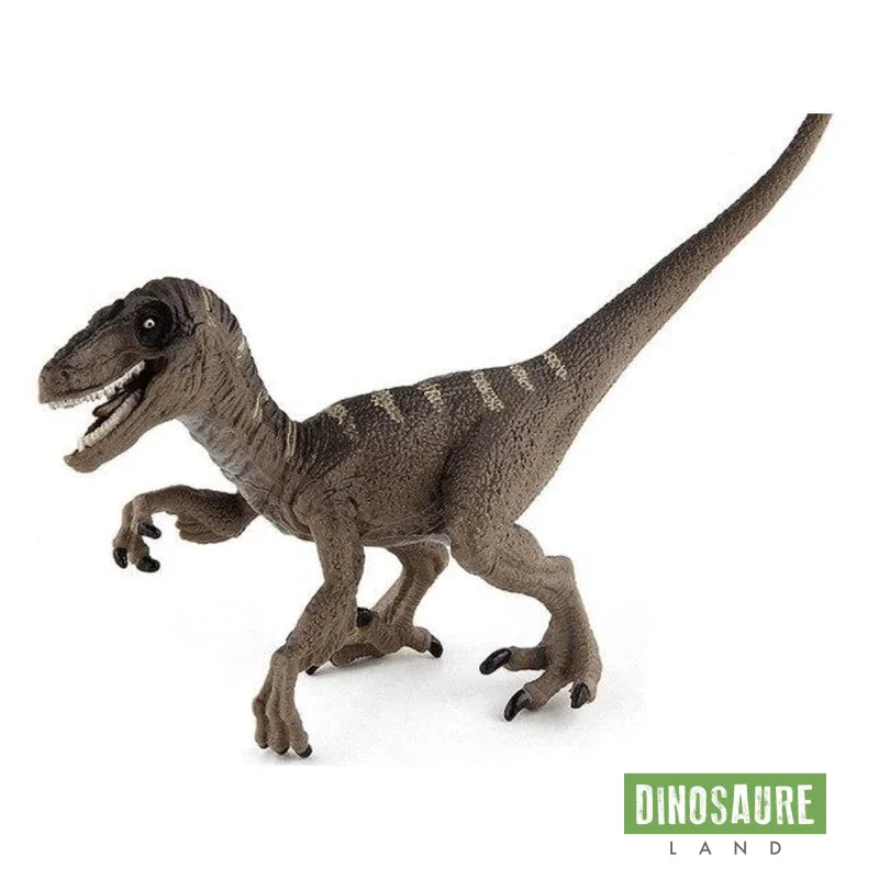 Figurine Vélociraptor