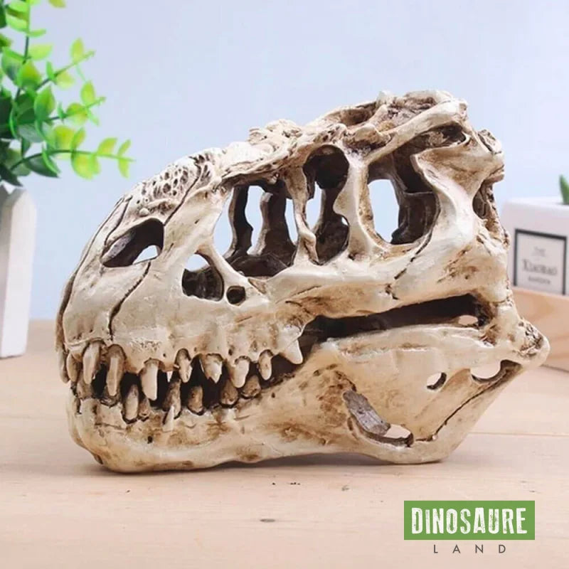 Crâne De T-Rex Réaliste En Résine Avec Support - Statue Dinosaure Crâne Décoration Bureau Maison