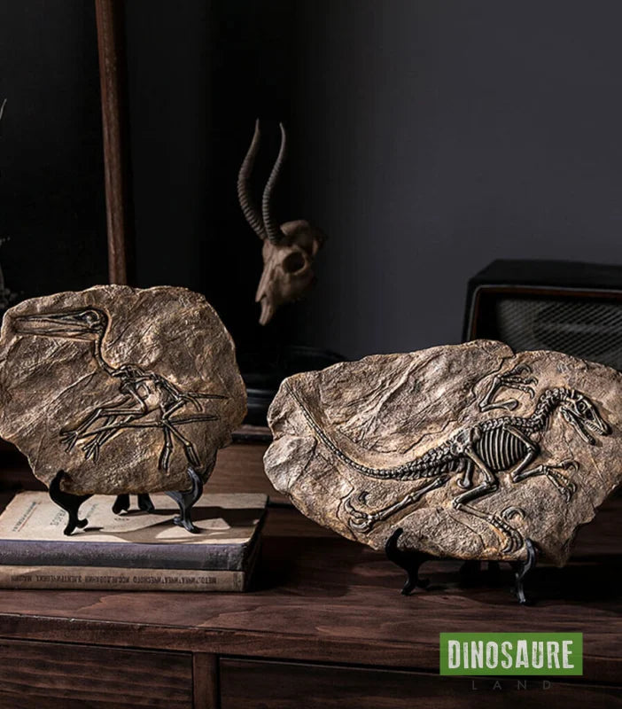 fossile dinosaure