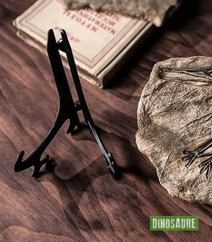 fossile dinosaure