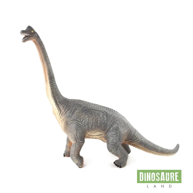 Grande Figurine Dinosaure Diplodocus