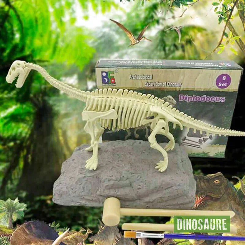 coffret fouille fossile squelette dinosaure