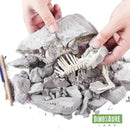 coffret fouille fossile squelette dinosaure