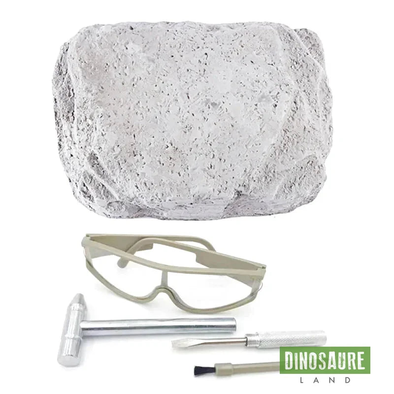 coffret fouille fossile squelette dinosaure