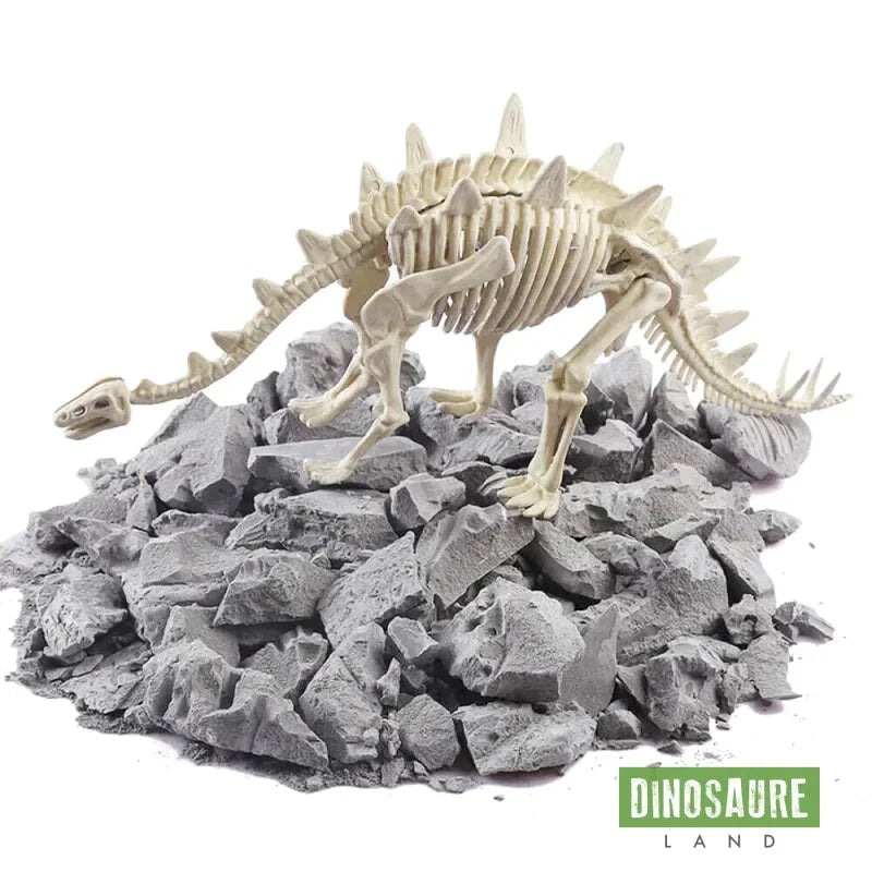 coffret fouille fossile squelette dinosaure