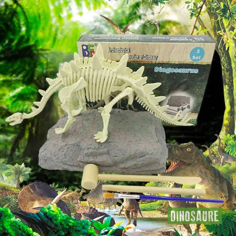 coffret fouille fossile squelette dinosaure