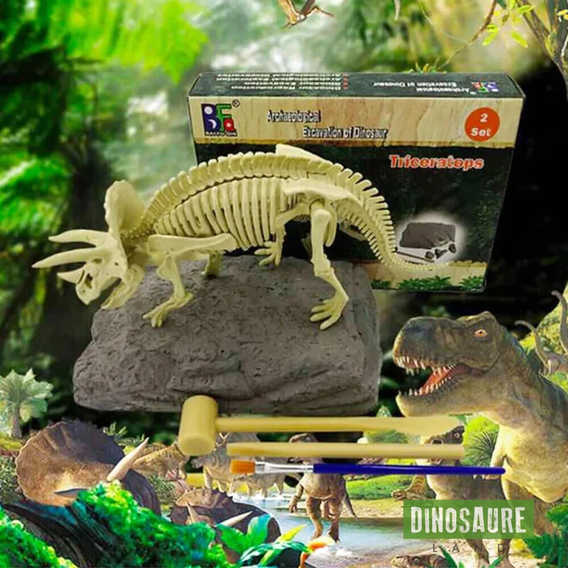 coffret fouille fossile squelette dinosaure