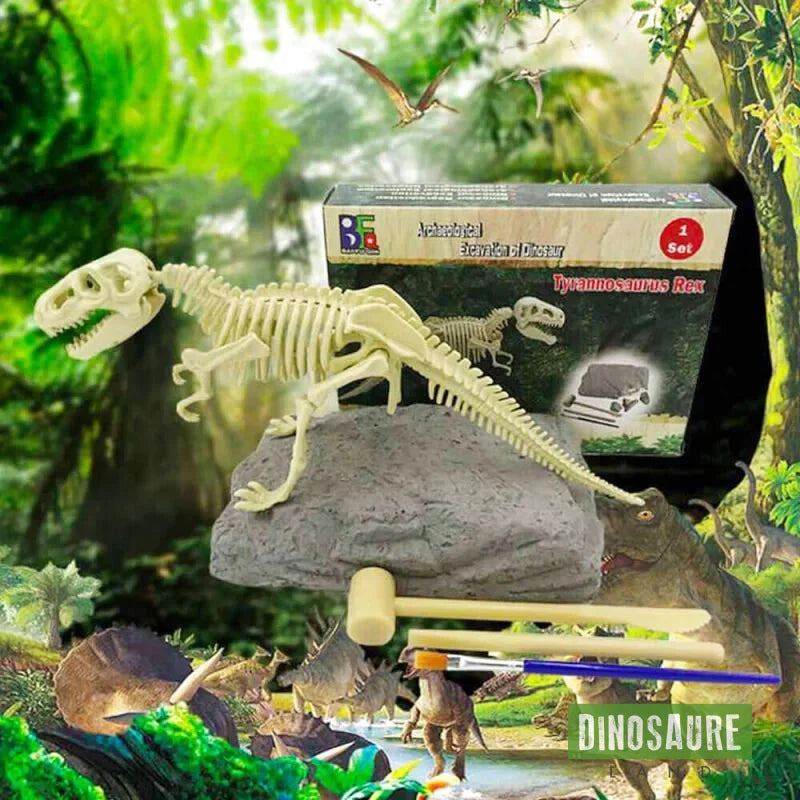 coffret fouille fossile squelette dinosaure