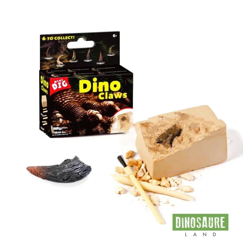 Jeu Arch ologie Dinosaure Griffe T Rex DinosaureLand jeu-arch-ologie-dinosaure-griffe-t-rex-dinosaureland