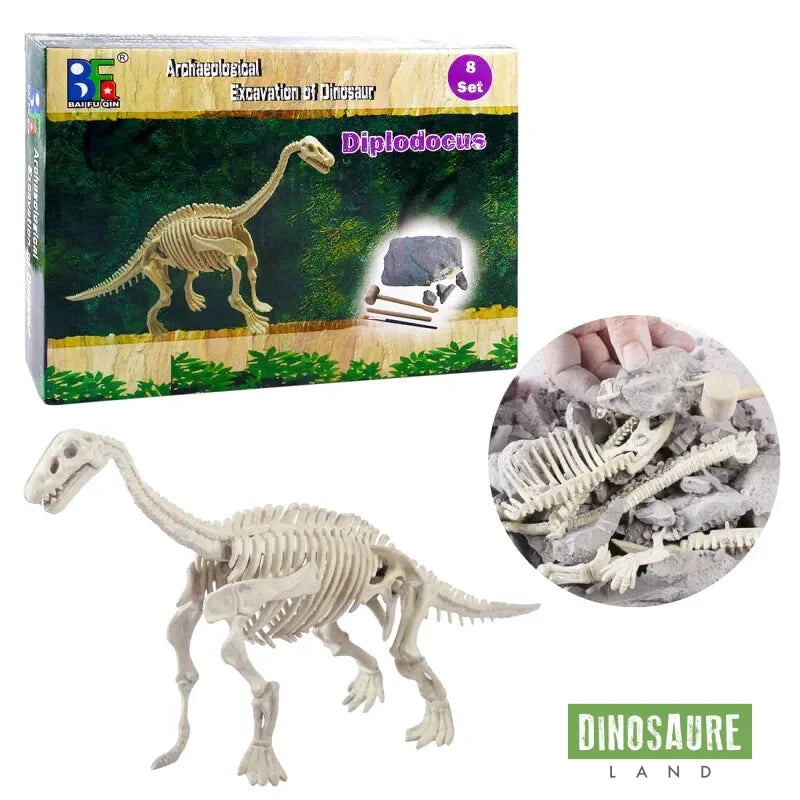 kit fouille fossile squelette dinosaure