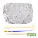 kit fouille fossile squelette dinosaure