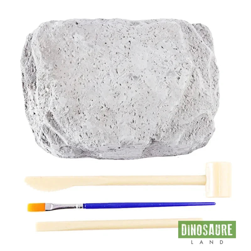 kit fouille fossile squelette dinosaure