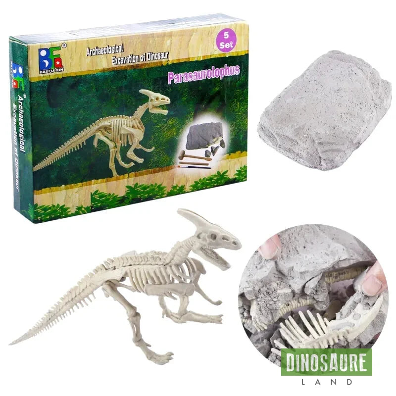 kit fouille fossile squelette dinosaure