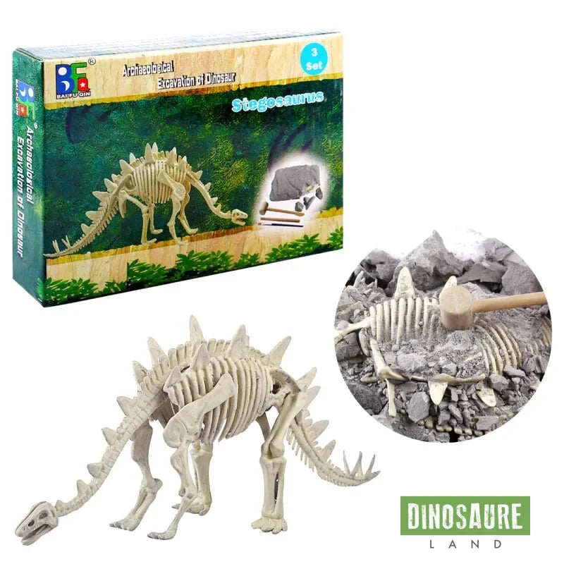 kit fouille fossile squelette dinosaure