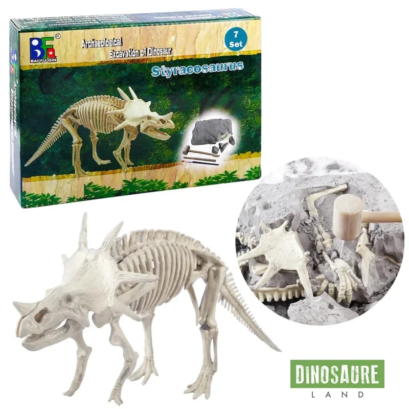 kit fouille fossile squelette dinosaure