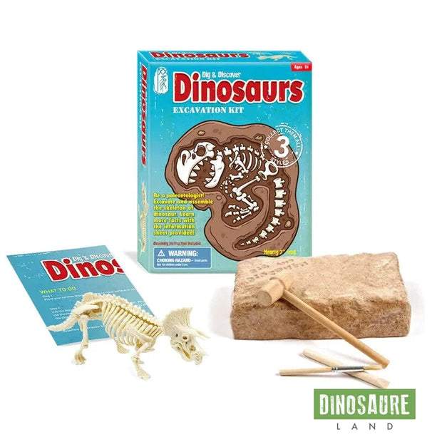 Creativity Point – 24 Squelettes De Dinosaures En PVC – 12 Modèles X 2 – Jeu éducatif Et Fouilles