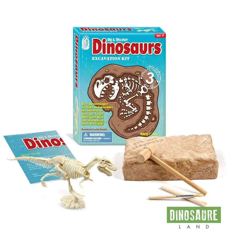 Dr. Daz T-Rex Fluorescent – Kit De Fouille Dinosaure – Excaver 16 Fossiles Et Assembler – 6-10 Ans