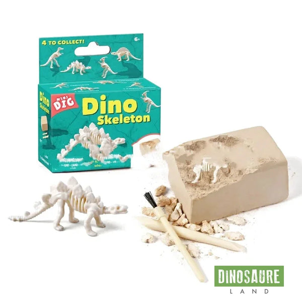 jeu archeologie dinosaure