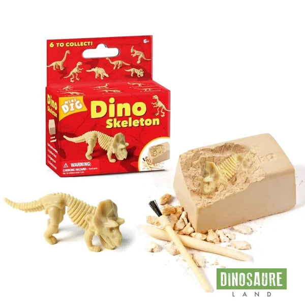 jeu archeologie dinosaure